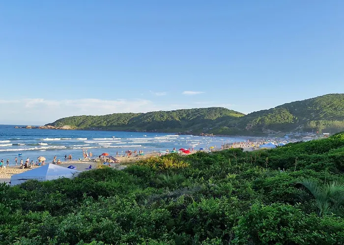 Palo Santo - Praia do Rosa